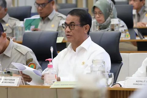 Menteri Pertanian (Mentan) Andi Amran Sulaiman/Istimewa.