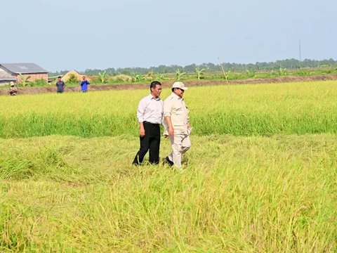 Menteri Pertanian (Mentan) Andi Amran Sulaiman/Istimewa.