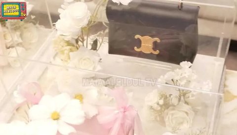 Di vlog terbarunya itu, Maia Estianty menunjukkan seserahan Al Ghazali untuk Alyssa Daguise. Maia juga memaparkan bahwa Irwan ikut menyiapkan hadiah seserahan untuk Alyssa. "Ini semua buat Alyssa tersayang," ungkap Maia.