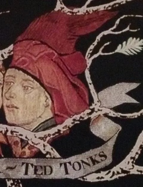 8 Karakter yang Hilang saat HARRY POTTER Diadaptasi dari Novel ke Film, Padahal Perannya Cukup Krusial