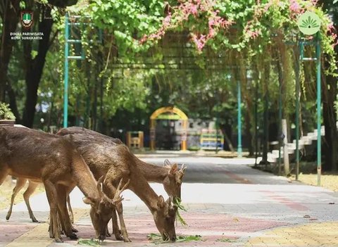 Taman Balekambang Solo, salah satu tempat wisata yang tutup sementara karena PPKM Darurat (dok.instagram/@balekambangsolo/https://www.instagram.com/p/CQ-swGKBF6G/Komarudin)