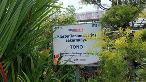 FOTO: Klaster Usaha Tanaman Hias Sekar Mulyo Batu Binaan BRI, Pintu Rezeki Utama Bagi Warga Sekitar