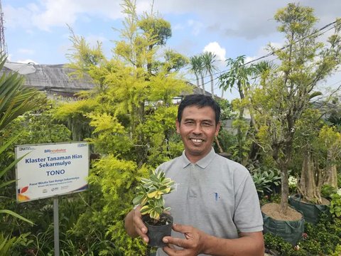 FOTO: Klaster Usaha Tanaman Hias Sekar Mulyo Batu Binaan BRI, Pintu Rezeki Utama Bagi Warga Sekitar