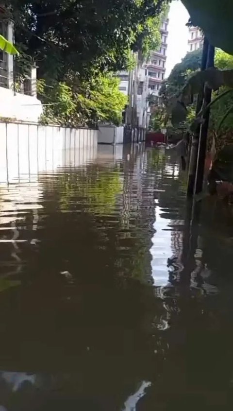 Rumah Mewah Tamara Geraldine Kebanjiran