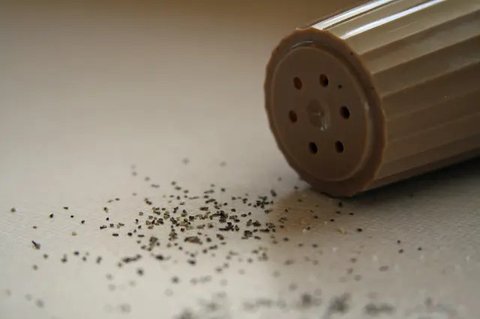 7 Arti Kejatuhan Cicak di Tubuh, Tak Selalu Jadi Pertanda Buruk (sumber: Pexels)