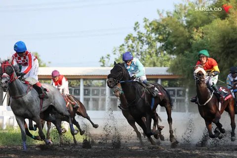 Kuda King Argentin dari Jawa Barat resmi meraih gelar Triple Crown Indonesia. (dok. Sarga.co)