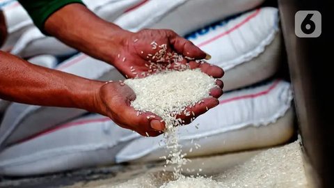 Pendistribusian untuk mengatasi kelangkaan beras premium di sejumlah gerai ritel modern di Jabodetabek. (Liputan6.com/Herman Zakharia)