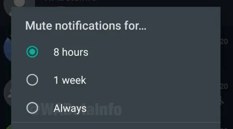 Ilustrasi tampilan WhatsApp. (Sumber foto: Pexels.com)