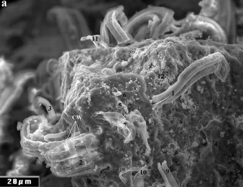 Tahun 2025 menjadi sangat istimewa bagi OMEGA karena menandai 60 tahun sejak Speedmaster resmi dikualifikasi oleh NASA untuk semua misi luar angkasa. (foto/dok: OMEGA)