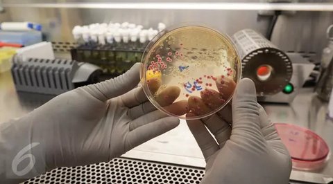 Tahun 2025 menjadi sangat istimewa bagi OMEGA karena menandai 60 tahun sejak Speedmaster resmi dikualifikasi oleh NASA untuk semua misi luar angkasa. (foto/dok: OMEGA)