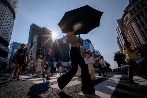 Gelombang panas di Jepang membuat pajangan makanan palsu meleleh pada Agustus 2025. (dok. X via Must Share News)