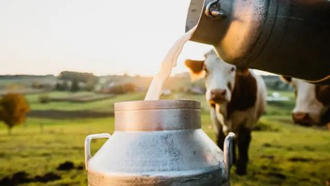 Pengelolaan Ternak Sapi Perah yang Optimal Jadi Kunci Produksi Susu Melimpah, Malang (30/5/2023). Foto: Ade Nasihudin/Liputan6.com.