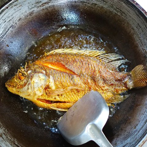 ilustrasi Resep Ikan Nila Goreng/copyright By pimpimon artkonghan (Shutterstock)