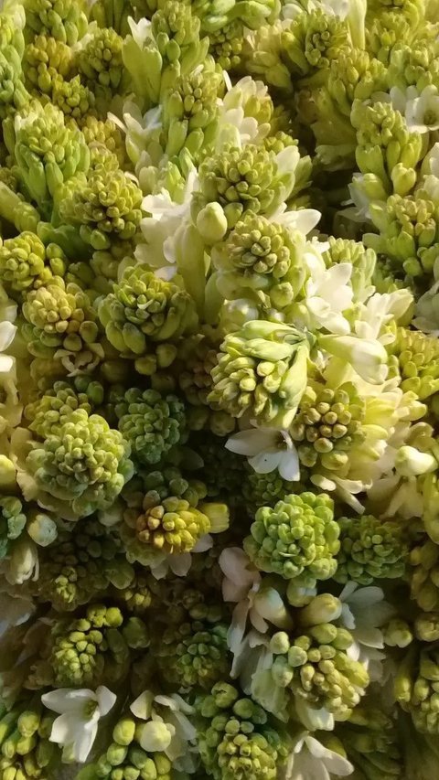 Rumah Sederhana Bahan Bata dengan Teras Kayu (Meta AI)