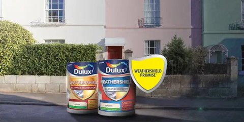 Ilustrasi cat dinding antijamur. (c) IgorVetushko/Depositphotos.com