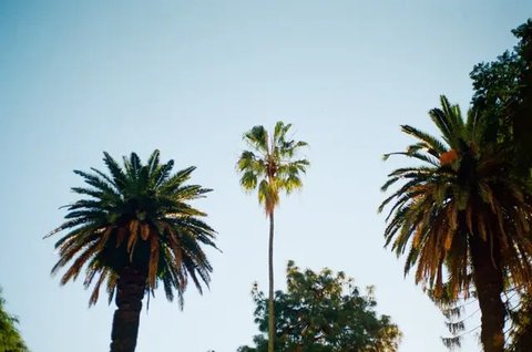Ilustrasi Polusi dan Sinar Matahari Credit: pexels.com/Maggie