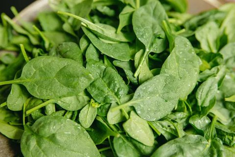 Sayur sawi putih dapat menjadi pilihan makanan untuk penderita asam urat. (Foto: Unsplash/A. Milne)