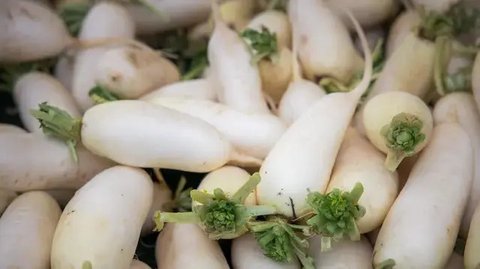 Sayur sawi putih dapat menjadi pilihan makanan untuk penderita asam urat. (Foto: Unsplash/A. Milne)