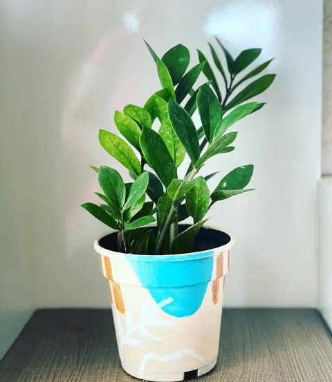 Memasang paving block pada halaman rumah merupakan salah satu cara yang paling lumrah dilakukan untuk mendapatkan halaman yang cantik.