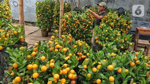 Ilustrasi - Tanaman dan buah-buahan surga. (Foto: SS YT Tafakkur Fiddin)