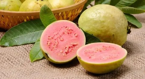 Ilustrasi - Tanaman dan buah-buahan surga. (Foto: SS YT Tafakkur Fiddin)