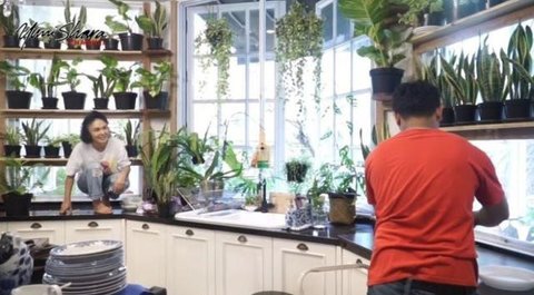Tanaman Hias yang Tumbuh Subur di Dapur (Ilustrasi Pexes)