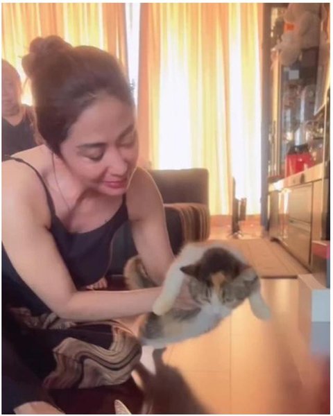 Dewi Perssik jaga kucing Eko Patrio yang selamat pasca penjarahan rumah. [IG: @dewiperssik9]
