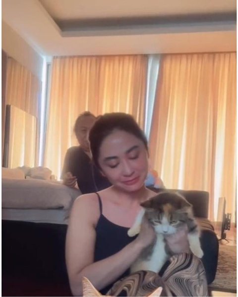 Dewi Perssik jaga kucing Eko Patrio yang selamat pasca penjarahan rumah. [IG: @dewiperssik9]