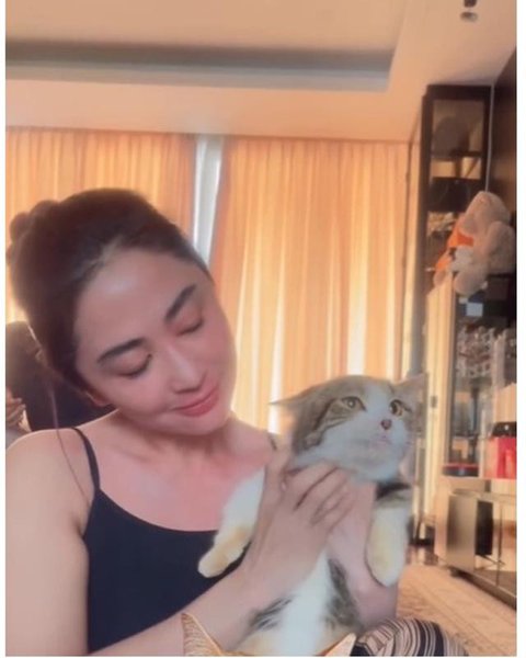 Dewi Perssik jaga kucing Eko Patrio yang selamat pasca penjarahan rumah. [IG: @dewiperssik9]