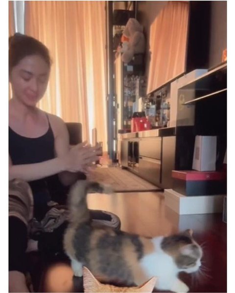 Dewi Perssik jaga kucing Eko Patrio yang selamat pasca penjarahan rumah. [IG: @dewiperssik9]