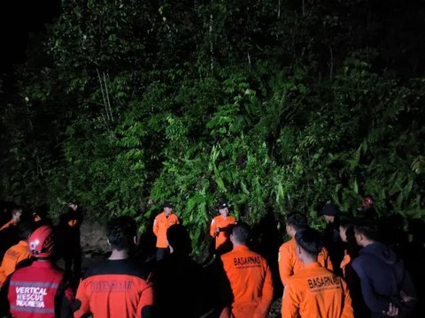 Penampakan buntut helikopter yang ditemukan jatuh di Hutan Mentewe Kalsel. (Liputan6.com/ Mahfuz)