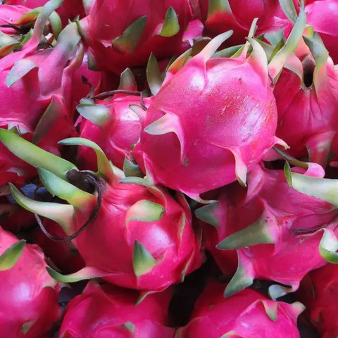 ilustrasi/copyritght pexels.com/Lovefood Art