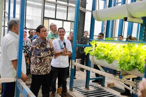 Gubernur DKI Jakarta, Pramono Anung meninjau lokasi pertanian vertikal Ladang Farm di Cilandak, Jakarta Selatan, Kamis (18/9/2025). (Liputan6.com/Winda Nelfira)