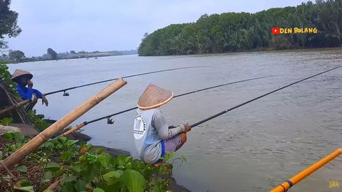 Ilustrasi Mancing/https://unsplash.com/James Wheeler