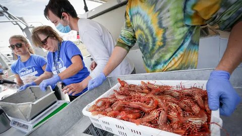 Lobster dan udang Tiger hasil tangkapan nelayan. (Foto: Liputan6.com/Muhamad Ridlo)