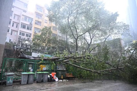 Topan Super Ragasa di Hong Kong Hancurkan pintu kaca dan bikin lobi Fullerton Ocean Park Hotel banjir. (dok. tangkapan layar video Facebook Bosco Chu)