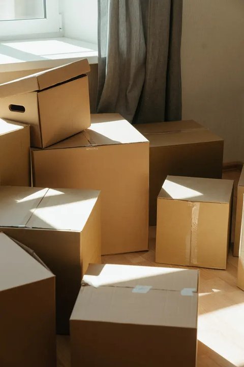 Perabot Rusak di Dalam Rumah yang Bisa Jadi Sarang Ular (Gemini AI)