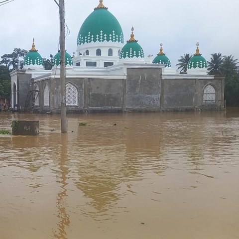 Banjir Landa Lima Desa di Kampar, 985 Rumah Terendam Air hingga Satu Meter