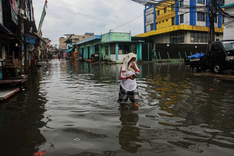 Warga melewati banjir rob yang merendam kawasan Muara Baru, Jakarta Utara, Selasa (14/1/2025).