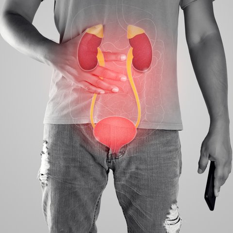 Ilustrasi anatomi organ dalam manusia