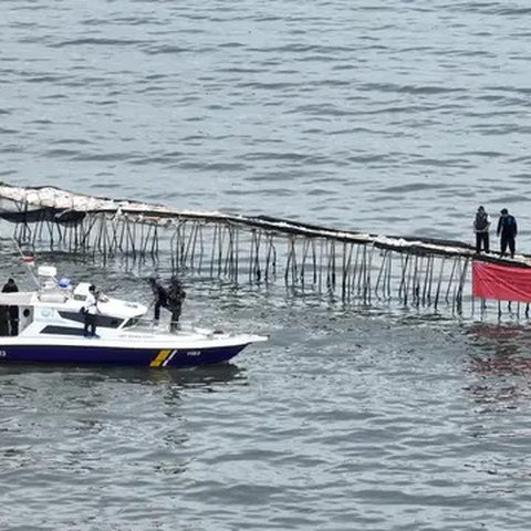 Prabowo Perintahkan Pagar Laut di Tangerang Dicabut dan Usut Dalangnya