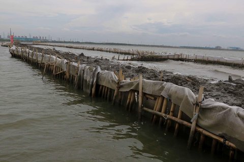 FOTO: Penampakan Pagar Bambu dan Gundukan Tanah di Laut Bekasi, Ternyata Ini Pemiliknya!