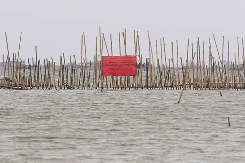 FOTO: Penampakan Pagar Bambu dan Gundukan Tanah di Laut Bekasi, Ternyata Ini Pemiliknya!