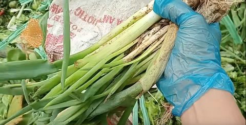 Zaman Lagi Susah, Wanita Ini Rela Mulung Sayuran di Pasar Induk Kramat Jati Dibanjiri Pujian dari Netizen