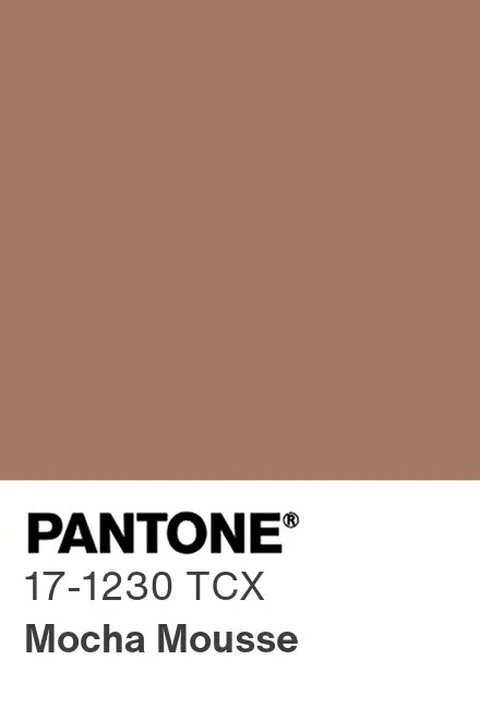Warna Mocha Mousse