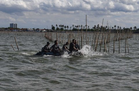 Personel Kopaska TNI AL membongkar pagar laut yang terpasang di kawasan pesisir Tanjung Pasir, Kabupaten Tangerang, Banten, Sabtu (18/1/2025). Sebanyak 600 personel TNI AL dan para nelayan Tanjung Pasir membongkar pagar laut tanpa izin dengan target penyelesaian selama 10 hari dengan jarak sepanjang 30,16 km<br />foto: merdeka.com/ arie basuki
