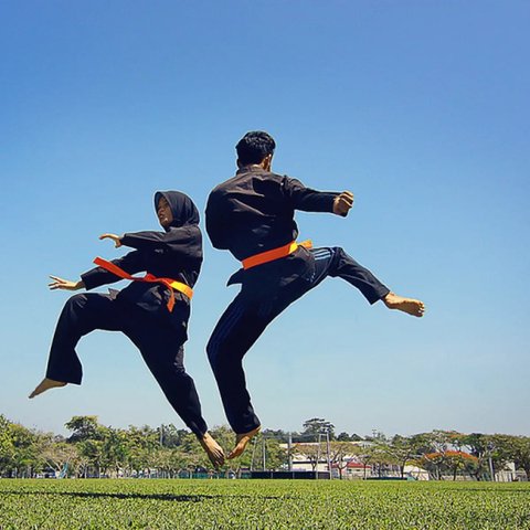Ilustrasi seni bela diri