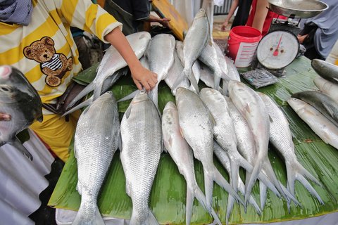 Sejumlah warga berbelanja ikan bandeng saat mengunjungi Festival Bandeng Rawa Belong, Jakarta, Selasa (28/1/2025).