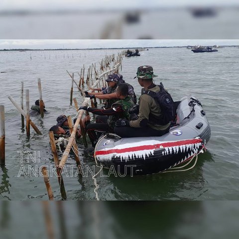 Perintah Kasal, Pasukan TNI AL Dibantu Nelayan Makin Getol Obrak Abrik Pagar Laut Misterius