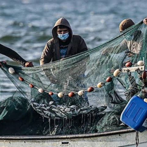 Ilustrasi nelayan menangkap ian di tengah laut (Istimewa)